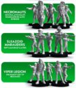 Star Schlock Battle Game Miniatures And Skirmish Rules 18 3