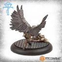 Vulturebackcopy