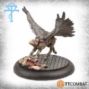 Vulturefrontcopy