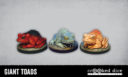 CD Giant Toads