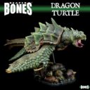 RM Dragon Turtle