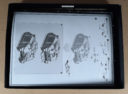 Review Vindicator Siege Tank 03