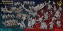 TF Kingdom Of Equitaine 1