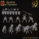 TF Kingdom Of Equitaine 10