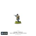 WG Campaign Case Blue Supplement And Black Feathers, White Hell Special Figure 4