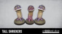Crooked Shrooms 03