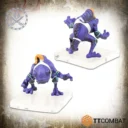 Purplefishcopy