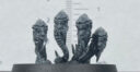 Genehormaun33