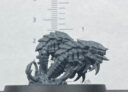 Genehormaun34