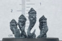 Genehormaun35