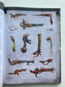 Tyrcodex10
