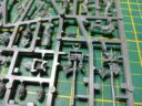 Cities Of Sigmar Review 21
