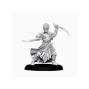 Unreleased Noble Elf Bladesinger 03