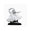 Unreleased Noble Elf Bladesinger 06