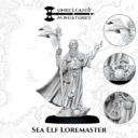 Unreleased Sea Elf Loremaster 01