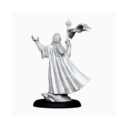 Unreleased Sea Elf Loremaster 06