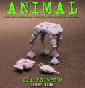 IGS ANIMAL 3