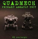 IGS QUADMECH&VARIANTS 12