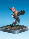 Seigneur Poules Bucephale~7