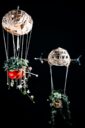 Tompi Les Voyages Fantastiques 3
