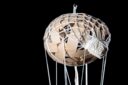 Tompi Les Voyages Fantastiques 5