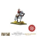 WG Soldier Of Fortune 005 ‘Sepoy General’, Wellesley In India 2