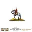 WG Soldier Of Fortune 005 ‘Sepoy General’, Wellesley In India 3