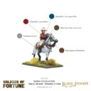 WG Soldier Of Fortune 005 ‘Sepoy General’, Wellesley In India 5
