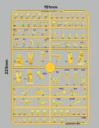 BEF Layout Final