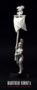 BrotherVinniAmazonStandardBearer9