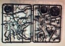 Brueckenkopf Online Warhammer Underworlds Deathgorge Unboxing 11