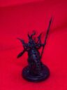Brueckenkopf Online Warhammer Underworlds Deathgorge Unboxing 17