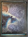 Brueckenkopf Online Warhammer Underworlds Deathgorge Unboxing 3
