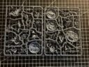 Brueckenkopf Online Warhammer Underworlds Deathgorge Unboxing 9