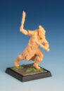 Freebooter Miniatures Frebooters Fate Wild Ox2