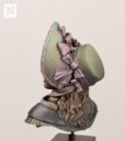NM Victoria 4