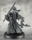 Review ICCompanions 11