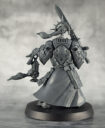 Review ICCompanions 13