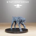 SF RoyalGuard Starfly 8