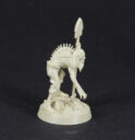 GW Review Zondara 14