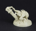 GW Review Zondara 15