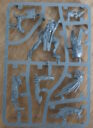 Warhammer40kKroot JagdrudelGussrahmenFleischformerA