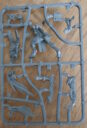 Warhammer40kKroot JagdrudelGussrahmenFleischformerB
