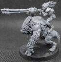 Warhammer40kKroot JagdrudelKrootoxreiter2Links