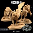 TDTL Journey Through The Direlands & The Moon Enclave 27