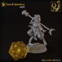 TF Norse And Gnomes 15