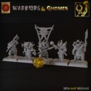 TF Warriors & Gnomes 8