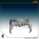 CRAB 1 Gray