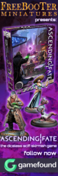 Freebooter Miniatures Ascending Fate 200x600 AF Banner 1 Box
