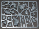 Review Skavenflut 21